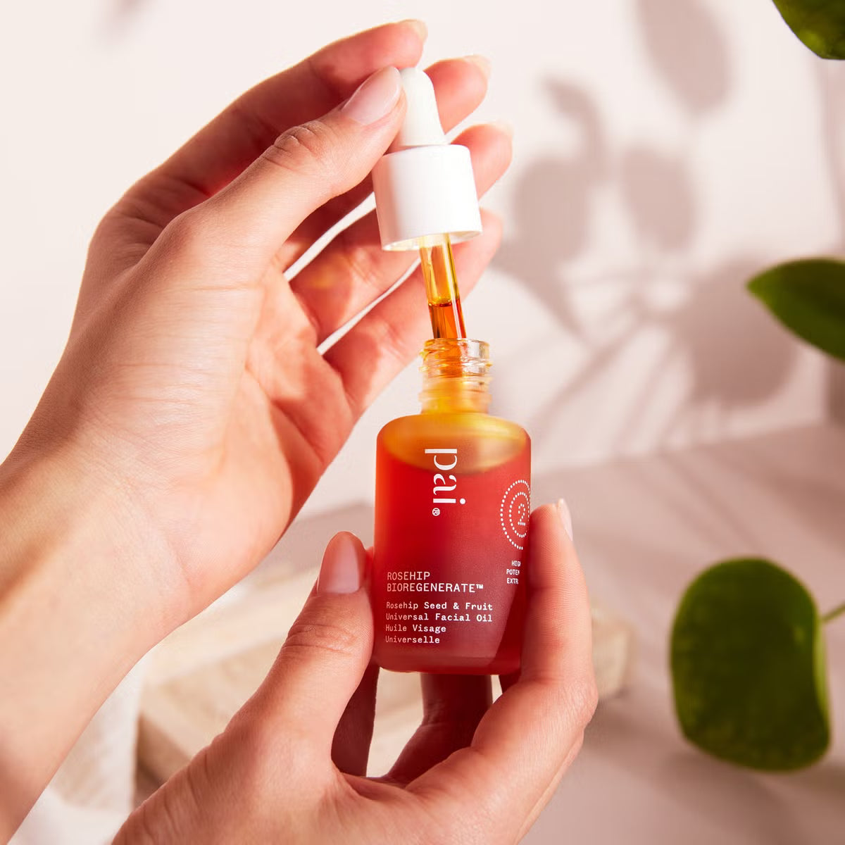 Pai Skincare Rosehip Bioregenerate Rejuvenating Overnight Face Oil 30ml